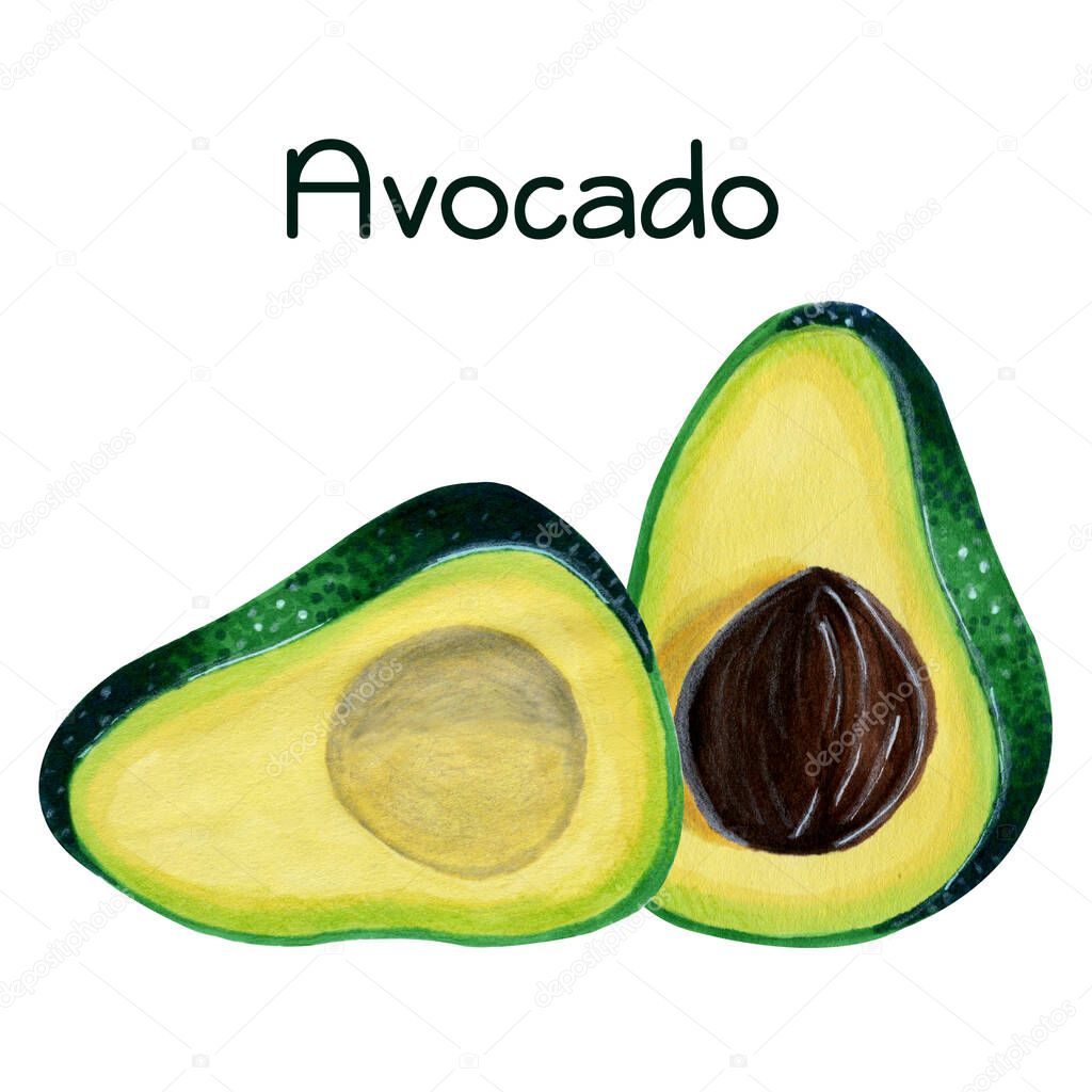Composition of fresh ripe avocado vegetable, whole and half with stone isolated on white background. Hand drawn watercolor markers illustration in realistic style. Concept of vegetarianism, ingredient