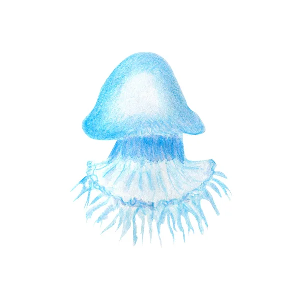 Blue Jellyfish Ocean Luminescent Underwater Animal Isolated White Background Watercolor — Stock Photo, Image
