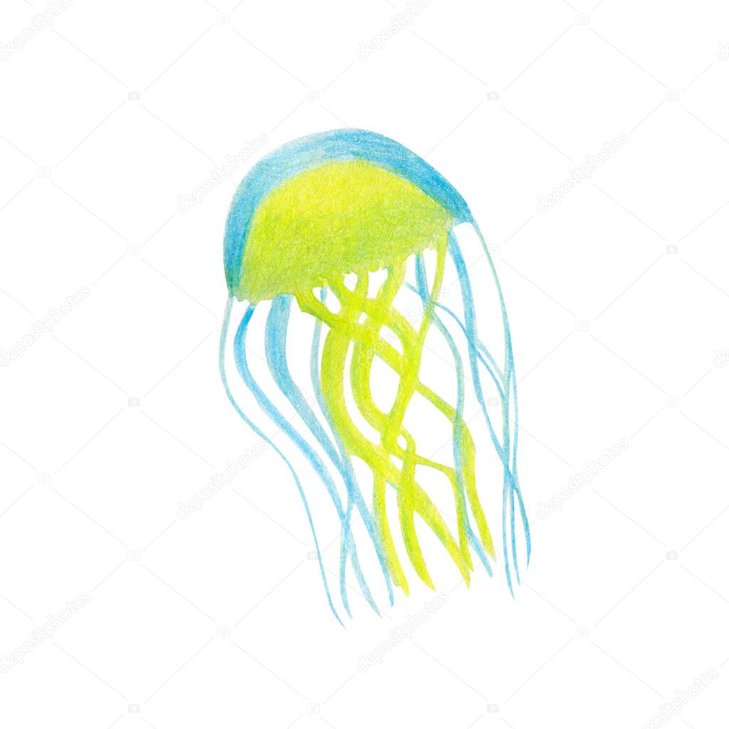 Blue and green beautiful jellyfish animal isolated on white background. Watercolor hand drawn illustration in realistic style. Deep sea and ocean creature - medusa. Concept of zoo, oceanarium, diving