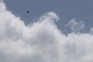 Koyu bulutlu Mavi Gökyüzü