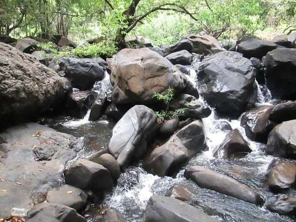 小溪流过岩石花园 — 图库照片