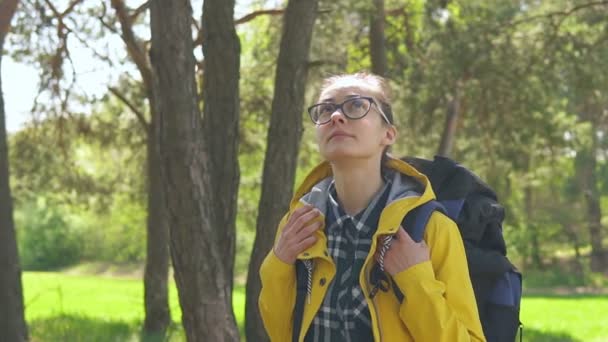 Wandelende vrouwelijke toerist met een rugzak op haar rug kijkt rond in het bos. Fitness reizen en gezonde levensstijl buitenshuis concept — Stockvideo