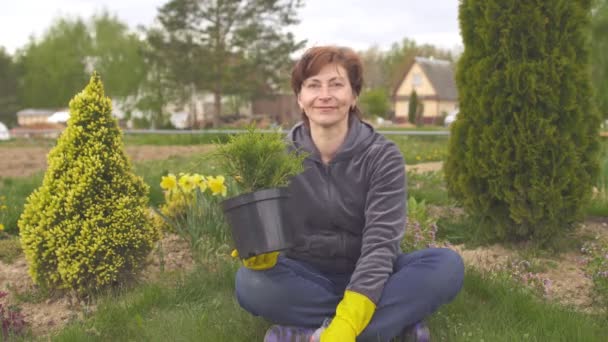 Yaşlı kadın bahçıvanın kozalaklı bitki tutarken ve el sallarken portresi — Stok video