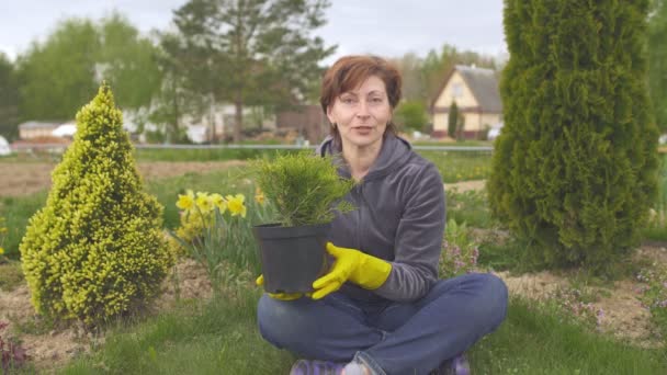 Senior blogger žena květinářka držení jehličnanů rostlina a mluvit s kamerou — Stock video