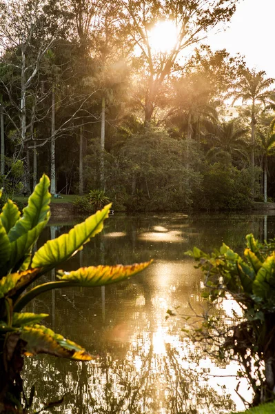 Amazing Sunset Reflecting River Sunny Day — Stock Photo, Image