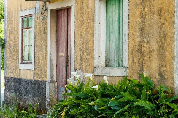 Vieille Maison Avec Calla Lis Buisson Dans Porte Entrée — Photo