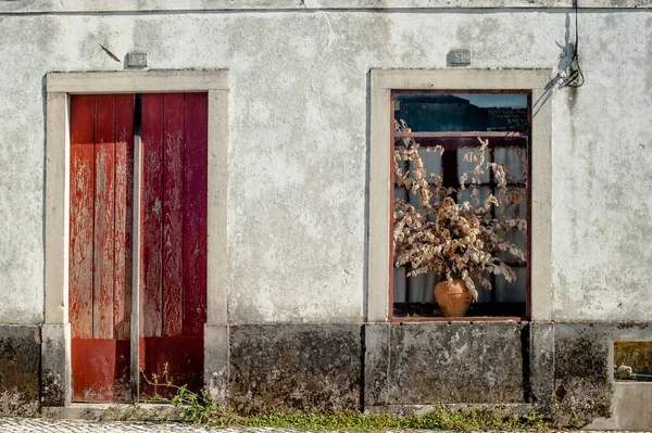 Front View Old Wall Red Door Window Dry Plant Pot — Stock Photo, Image