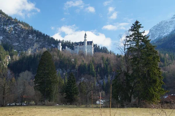 Castillo Neuschwanstein Bavaria Los Alpes Allgaeu Cerca Fuessen — Foto de Stock