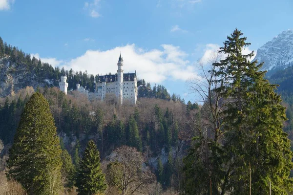 Castello Neuschwanstein Bavaria Presso Alpi Allgaeu Vicino Fuessen — Foto Stock