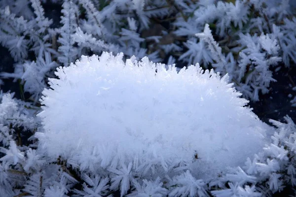 Nieve Cristal Hielo Frente Cielo Azul Primer Plano — Foto de Stock
