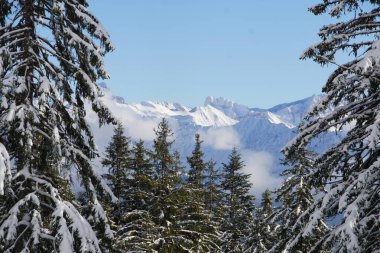 Bavyera Alman Alplerinde kış manzarası