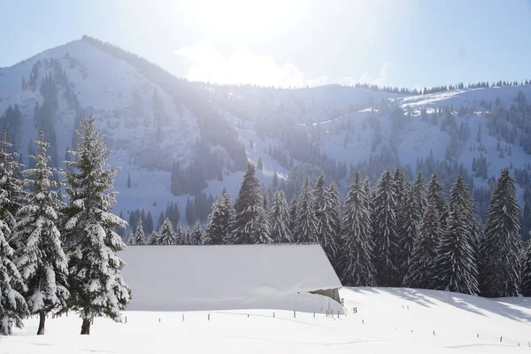 Χειμερινό Τοπίο Στις Βαυαρικές Γερμανικές Άλπεις — Φωτογραφία Αρχείου