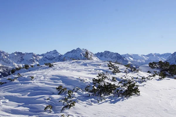 Paesaggio Invernale Nelle Alpi Bavaresi Tedesche — Foto Stock