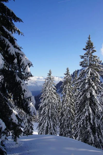 Зимний Пейзаж Солнцем Голубым Небом Немецких Баварских Альпах — стоковое фото