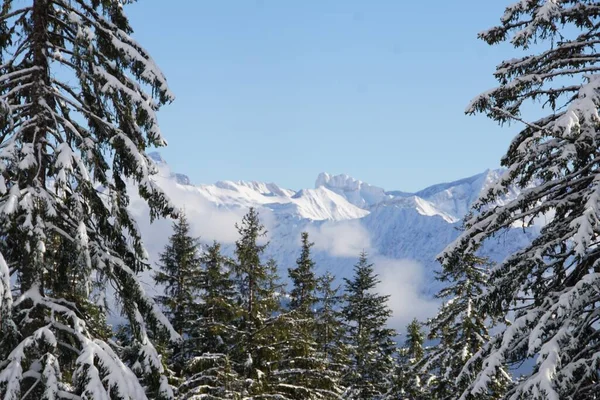 Schöne Winterlandschaft Mit Sonne Und Blauem Himmel Den Bayerischen Alpen Stockbild