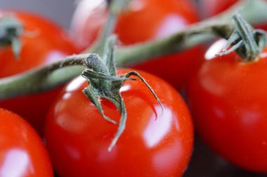 Küçük domates yakından.