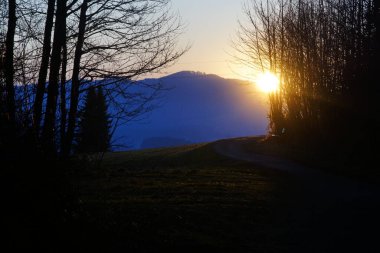 Ağaçlı Alman Alpleri üzerinde gün doğumu 
