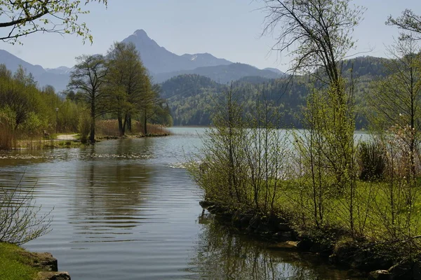 Beau Paysage Des Alpes Bavaroises Dans Allgu Printemps Avec Des — Photo