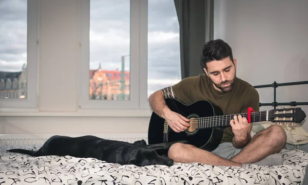 boy alone at home, whit sad expression, plays the guitar, sitting on the bed, beside his dog, in front of a bright window, in which you can see the city