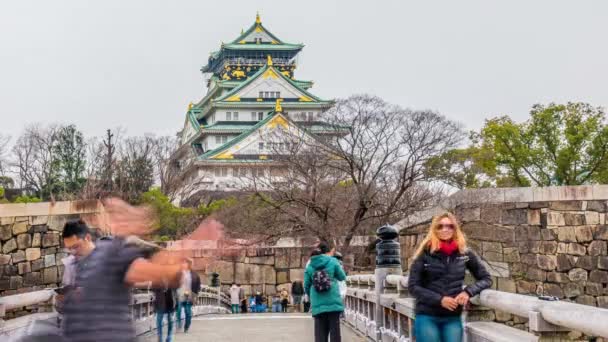 Timelapse Many Tourist Visiting Osaka Castle Osaka Japan Janyjanuary 2020 — стокове відео