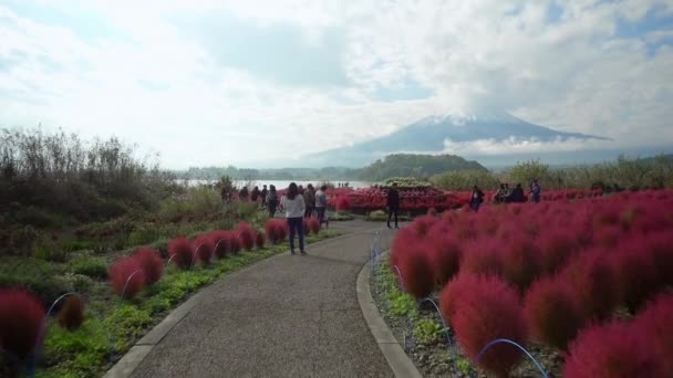 2018年10月 沿着大石公园花园步行游览和拍摄日本山崎子湖畔富士山的游客 — 图库视频影像