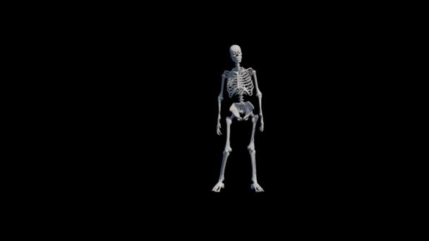 Skelet Modelinin Boyutlu Yavaş Çekim Animasyonu Tekme Seti Futbol Topu — Stok video
