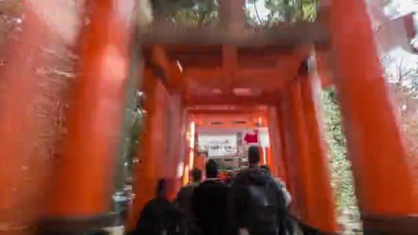 Timelapse Hyperlapse Walkthrough Red Torii Gate Fushimi Inari Taisha 관광객들 — 비디오