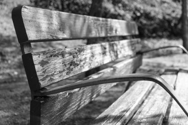 Parktaki ahşap bank. Siyah ve beyaz.