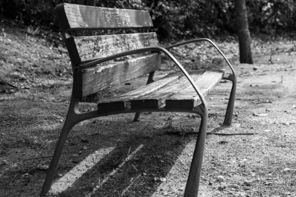 Banc Bois Dans Parc Noir Blanc — Photo