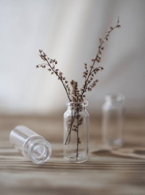 Analiz için cam bir şişede kurumuş bitki.