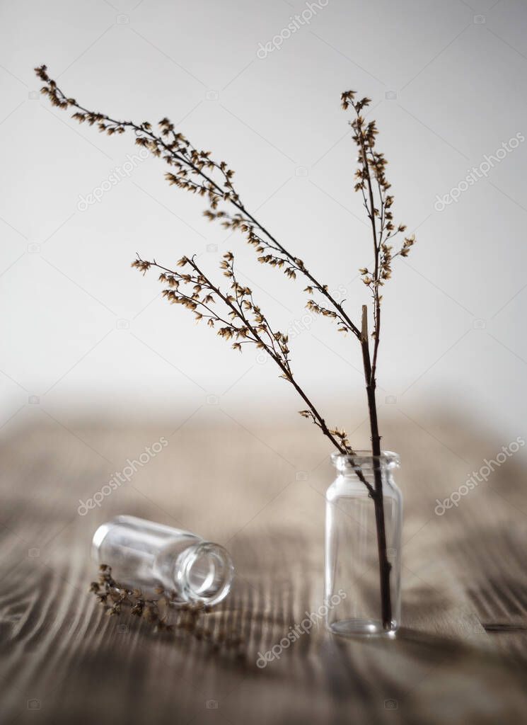 dried plant in a glass flask for analysis
