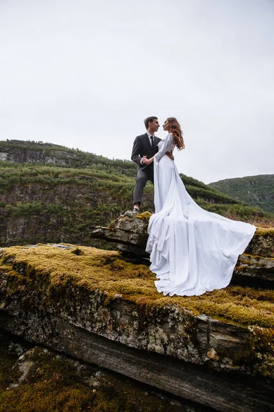 岩の上に立っている結婚式のカップルの肖像画 新婚夫婦はお互いにもがき合う — ストック写真
