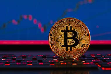 Bitcoinler ve Yeni Sanal Para Konsepti. Deftere stok grafik ve dijital arkaplan ile altın bitcoinler konuldu.