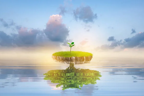 Маленький Зеленый Остров Одинокими Деревьями Тихой Воде Океана Дружественная Экосистема — стоковое фото