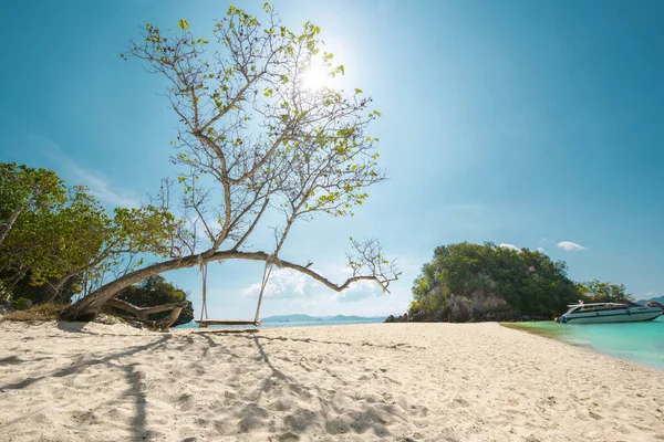 木のスイングは タイのクラビ島のコ パック ビア島の木の下にぶら下がっています 旅行先と自然環境のコンセプト 夏休みの背景 — ストック写真