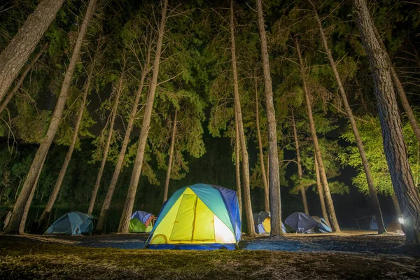 Avonturen Kamperen Toerisme Tent Onder Het Uitzicht Dennenbos Landschap Buurt — Stockfoto