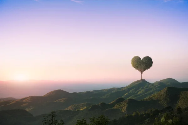 A heart shaped tree on the top of mountain and beautiful sky background.