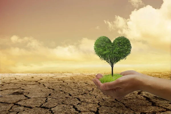 Экологические Проблемы Защита Природы Спасение Мира Маленькое Зеленое Сердечко Руке — стоковое фото