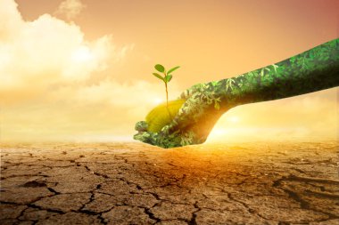 Kırık toprak zemin üzerinde büyüyen yeşil el ağacı tutuyor. Doğadan Dünya Günü Elleri. Doğa 'nın fikri.