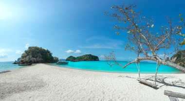Tayland, Krabi 'deki Panorama Phak bia Adası ve Denizi.