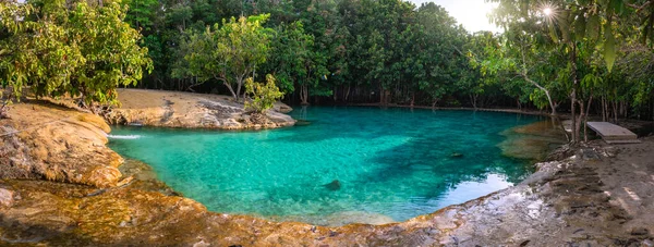 Zümrüt Havuzu Tayland 'ın Krabi kentindeki mangrov ormanlarında görülmeyen bir havuz. Varış ve yaz konsepti..