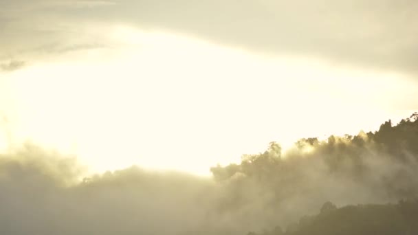 Nevoeiro subindo de montanhas com floresta no fundo do pôr do sol . — Vídeo de Stock