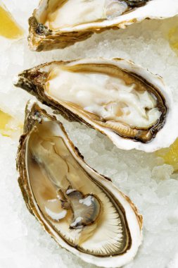 Wi ile limon ve istiridye bıçakla bir plaka üzerinde açık ıslak istiridye