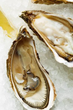 Wi ile limon ve istiridye bıçakla bir plaka üzerinde açık ıslak istiridye