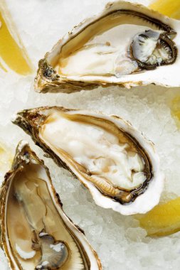 Wi ile limon ve istiridye bıçakla bir plaka üzerinde açık ıslak istiridye