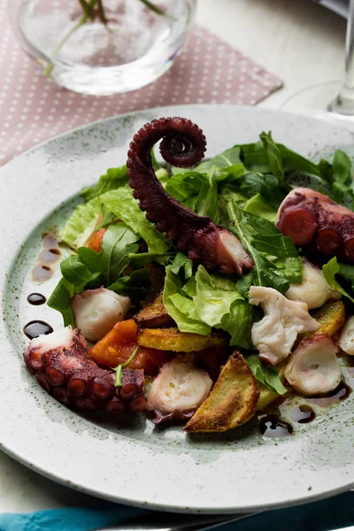 Octopus salat med arugula salat mix og vin - Stock-foto