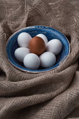 Taze yumurta yemek için toplanır