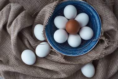 Taze yumurta yemek için toplanır