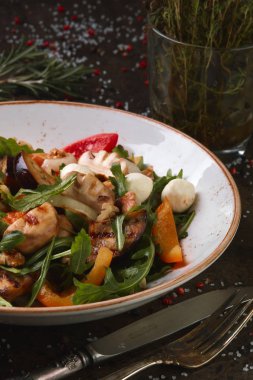 Vejetaryen salata sebze, roka ve mozzarella peyniri