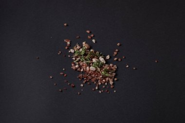 Siyah bir arka plan üzerinde dağınık baharat